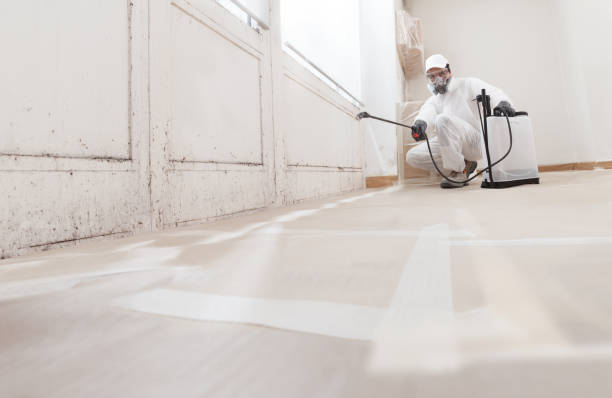 24/7 Emergency Black Mold Remediation experts in Leesburg, GA