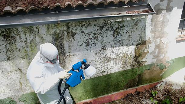 Top rated local Black Mold Remediation specialists in Leesburg, GA